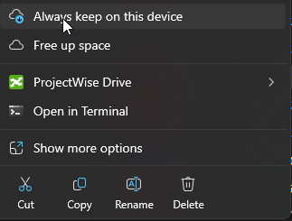 A screenshot of a computer??AI-generated content may be incorrect.